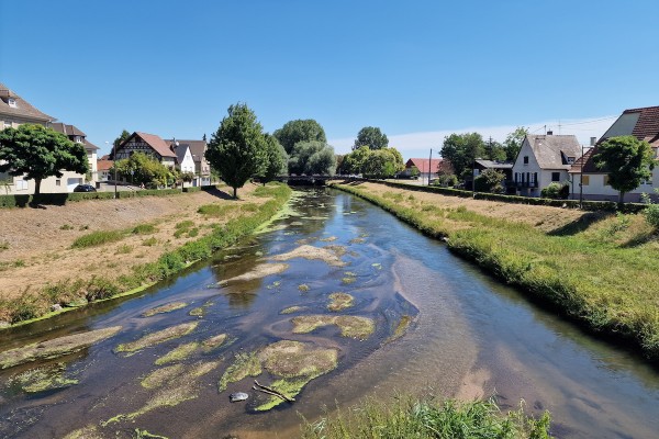 Plan de com pour le Plan Climat